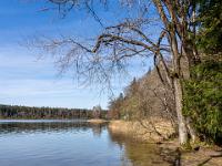 Am Südostufer des Hofstätter Sees